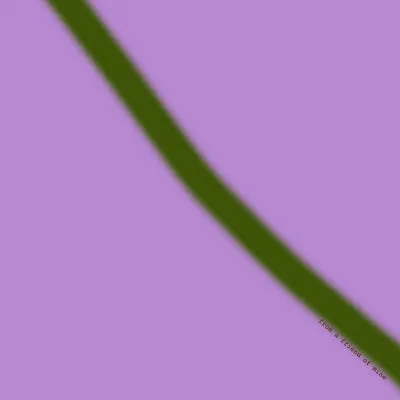 < Limited Edition > Silk Chiffon Scarf with Purple & Olive Print "Ce Soir" / 53x53cm / Made in Japan