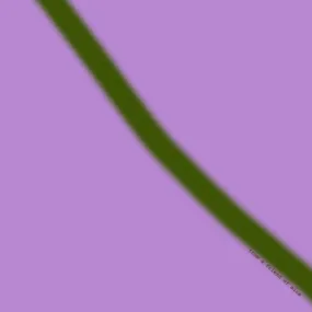 < Limited Edition > Silk Chiffon Scarf with Purple & Olive Print "Ce Soir" / 53x53cm / Made in Japan
