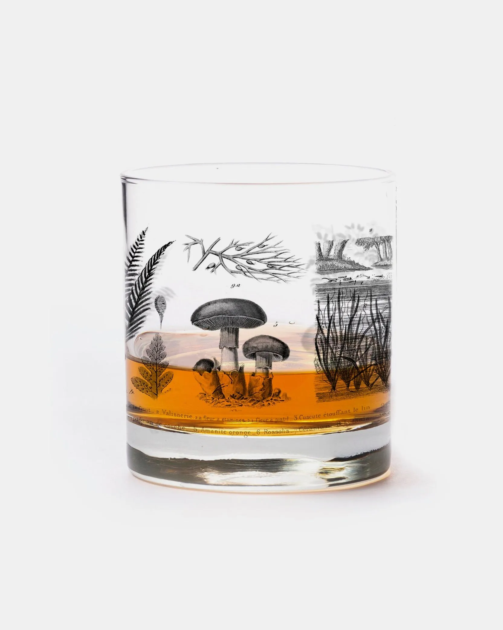Mix & Match Single Whiskey Glasses